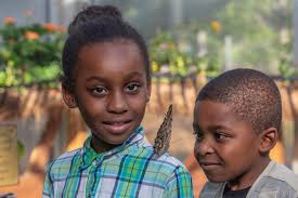 2019 Annual Report by butterflypavilionCO