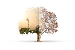 How to file a ceqa notice of exemption? Environmental Law And Practice In The United Arab Emirates Overview Sta Law Firm