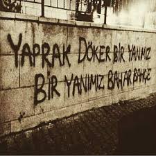 Yaprak Doker Bir Yanimiz Bir Yanimiz Bahar Bahce Sozleri Turk90