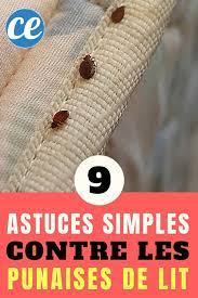 Maybe you would like to learn more about one of these? 9 Astuces Efficaces Pour Se Debarrasser Des Punaises De Lit Sans Produits Toxiques