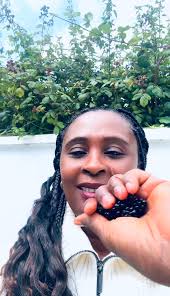 Blackberries. Front of the house 🇮🇪