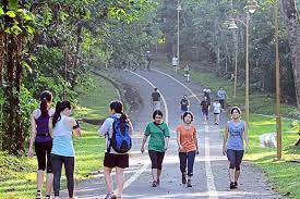 Damas suites & residences kuala lumpur. Part Of Bukit Kiara Federal Park Gazetted As Green Lung The Mole