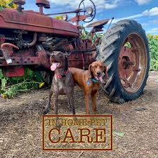 Maybe you would like to learn more about one of these? All Pets Veterinary Clinic Home Facebook