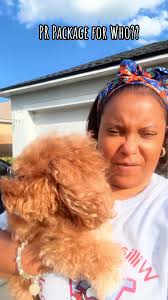 PAISLEY'S SAFE SPACE = Mommy's Arms… 🐶💕🐶 #beingpaisleynicole #paisl...