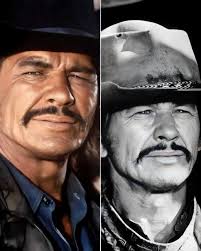 In Death Hunt (1981), Charles Bronson stars as a rugged, no-nonsense man  named Albert Johnson, a trapper living in the remote wilderness of Canada.  The film, directed by Peter Hunt, is a