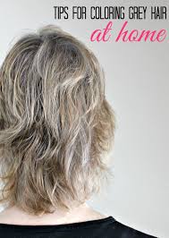 A great rule of thumb is to do a 50/50 mixture when covering gray hair. Tips For Coloring Grey Hair At Home The Socialite S Closet