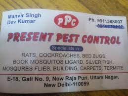 Bed bugs are becoming more and more common, but people still don't know a lot about them. Pest Control Home Facebook