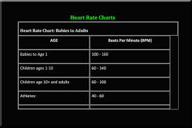 Blog Archive Heart Rate Q A