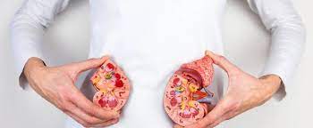 Eine nicht gut funktionierende niere macht ja oft lange zeit keine beschwerden. Nierenwerte Bestimmung Normalwerte Aussagekraft