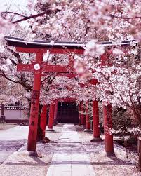 Japon tarihi hakkında bilgiler ve paylaşımlar. Tankensurutokyo Les Plus Beaux Sites A Visiter A Tokyo Au Japon Voyage Au Japon Pas Cher En Reservant Japan Photography Aesthetic Japan Cherry Blossom Japan