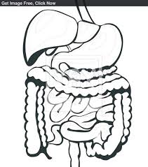 In this science worksheet, your child learns about the matter changes that happen when a candle is lit and explains why the candle in this scenario burned out. Science Grade 5 Coloring Pages Learny Kids