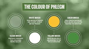 The Colour Of Your Phlegm And It S Meaning Mucus Color Mucus Chest Cold
