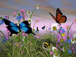 Spring scenery wallpaper 1080p : Beautiful Butterflies 3d Animals Butterfly Color Nature Spring Hd Wallpaper Animals Wallpaper Better