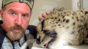 Gabriel The Cheetah Recovery Day From The Vet