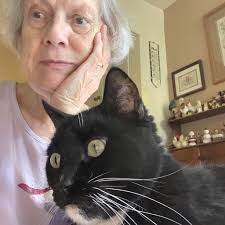 FosterKitten Sybil is still learning that hands give pets! Submitted by  Kaitlin Springsteen