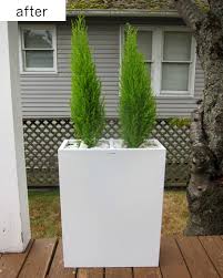 Maybe you would like to learn more about one of these? Before After Blair S Dining Room Matthew S Planters Design Sponge