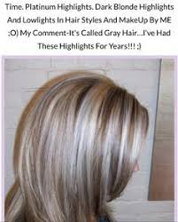 Blending Gray Hair With Lowlights Dark Brown Hairs Blending Gray Hair Highlights And Lowlights Hair Highlights