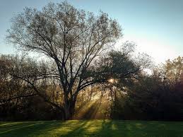 Erindale Park Mississauga Travel Eye Makeup Mississauga