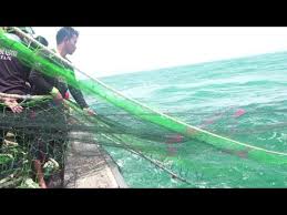 Polemik pelarangan alat penangkapan ikan (api) cantrang yang masuk dalam kelompok pukat tarik berkapal (boat or vessel seines) masih terus saja terjadi. Jaring Nelayan Takut Mendekati Terumbu Karang Youtube