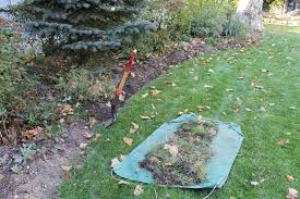 I would like to remove them and edit: My Pile A Year In The Life Of A Backyard Compost Heap