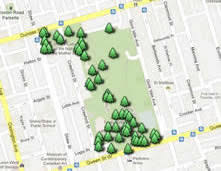 Address, phone number, trinity bellwoods park reviews: Canadian Tree Tours