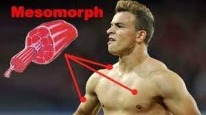 Nun ist das kleine kraftpaket wieder auf dem spielfeld. Xherdan Shaqiri Der Mesomorphe Korpertyp Youtube