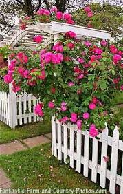 Fantastic Country Garden Pictures And Photos Rose Garden Design Cottage Garden Garden Pictures