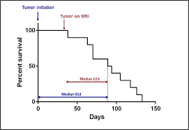 Breast cancer risk in men. Plos One Genetically Engineered Rat Gliomas Pdgf Driven Tumor Initiation And Progression In Tv A Transgenic Rats Recreate Key Features Of Human Brain Cancer