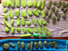 Espero que les guste esta idea que les propongo. Como Hacer Cactus Con Piedras Diy Y Manualidades En Piedracreativa