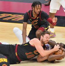 Image result for Dewevrella