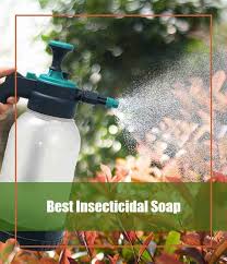 You will need some liquid soap, water and a spray bottle, we show many common garden pests can be controlled using an insecticidal soap. 7 Best Organic Insecticidal Soap 2021 Reviews Guide