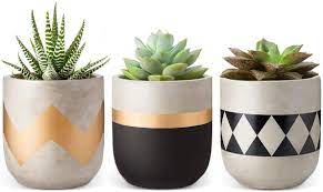 Wishing you a very hoppy easter! Mkouo Cement Succulent Planter Modern Indoor Flower Pots For Cactus Herb Or Small Plants Home Decor Gift Idea Set Of 3 Amazon De Garten
