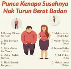 Fokus ke buah, sayur, dan lemak sehat. Punca Mengapa Susahnya Turun Berat Badan