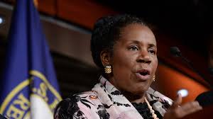 Late Rep. Sheila Jackson Lee's daughter running for her mom's old House  seat