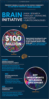40 Infographic Ideas To Jumpstart Your Creativity Visual