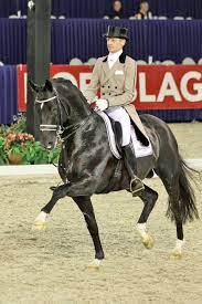 Edward gal is a dutch athlete and competes in dressage. Edward Gal Wikipedia