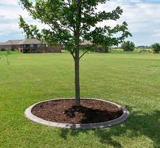 Awesome Ideas For Landscaping Around Trees Landscaping Around Trees Around Tree Garden Around Tree