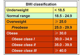 10 Facts On Obesity Digital Medicine