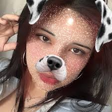 Así es el crecimiento de un Gatito...