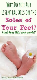 Feet soles don't contain sebaceous glands Why Do You Rub Essential Oil On The Soles Of Your Feet All Posts Healing Harvest Homestead