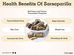 Sarsaparilla plants are typically woody or thorny and are most commonly found in sarsaparilla has the scientific name of smilax regelii and is also a common name for many. Benefits Of Sarsaparilla And Its Side Effects Lybrate