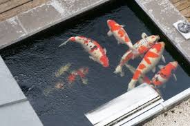 Presentations Des Bassins Pour Concours