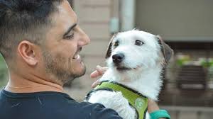 Hernán Lirio: Emoción y Recuerdos en la TV Pública Argentina - Imagen ilustrativa del artículo