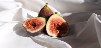 There are many varieties, and most figs are simple to grow and care for, but the most common indoor fig is the negro largo. Figs In The Bible
