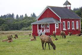 We have stayed here three times so far and will be staying over the 4th of july weekend coming up soon to get away from fireworks. Welcome To Elk Country Rv Resort And Campground