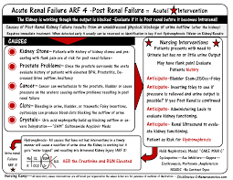 Acute Renal Failure Pre Renal Failure 20 1 The Problem Is Before The Kidney Correct The Nursing Programs Online Nursing Schools Accelerated Nursing Programs