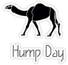 Unique hump day stickers designed and sold by artists. Guess What Day It Is