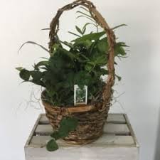 Maybe you would like to learn more about one of these? Sympathy And Funeral Flowers Delivery Colorado Springs Bloom Bar Co