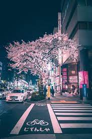 Discover more posts about japan aesthetic. æ—¥æœ¬ On Twitter Aesthetic Japan Japan Photography Japan Travel
