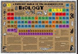Biology Periodic Table